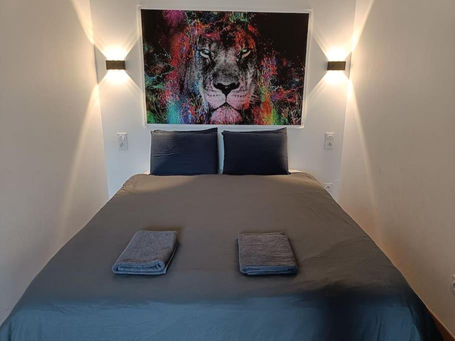 Appartement Confort Equipe Au Coeur De Безие Екстериор снимка